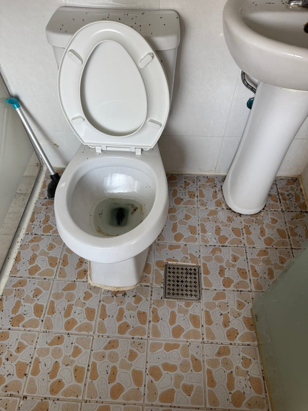 화장실 전체 청소 전